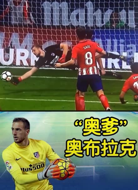 自成立以来