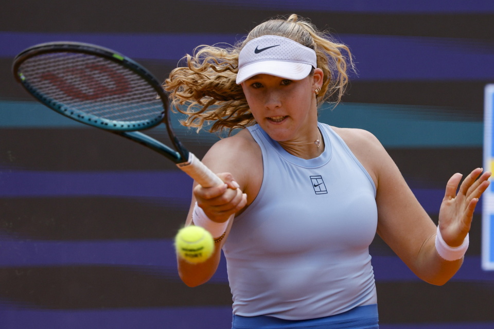 以往的案例 以往的案例